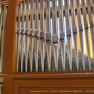 f-ed-20190317-121320_46490616185_o