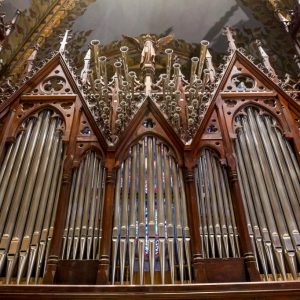 matyas-nagyorgona-kep1